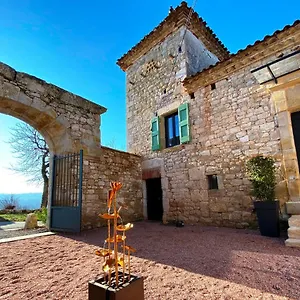 Domaine De Lejos - Portes D'albi , Lamillarie France